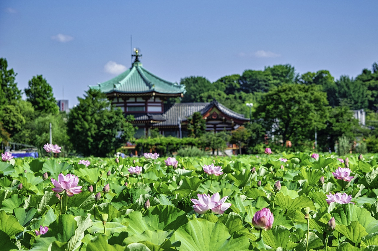 the-traveland-signature-tour-tokyo-ueno-03